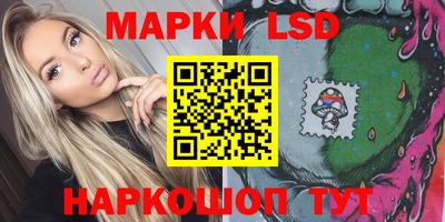 стафф Гатчина