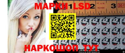 стафф Гатчина