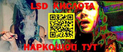 стафф Гатчина