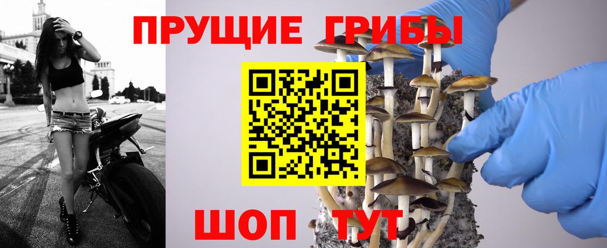 Псилоцибиновые грибы прущие грибы  Псилоцибиновые грибы прущие грибы  Вход с VPN  Тара 